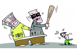 庆元庆元的要账公司在催收过程中的策略和技巧有哪些？